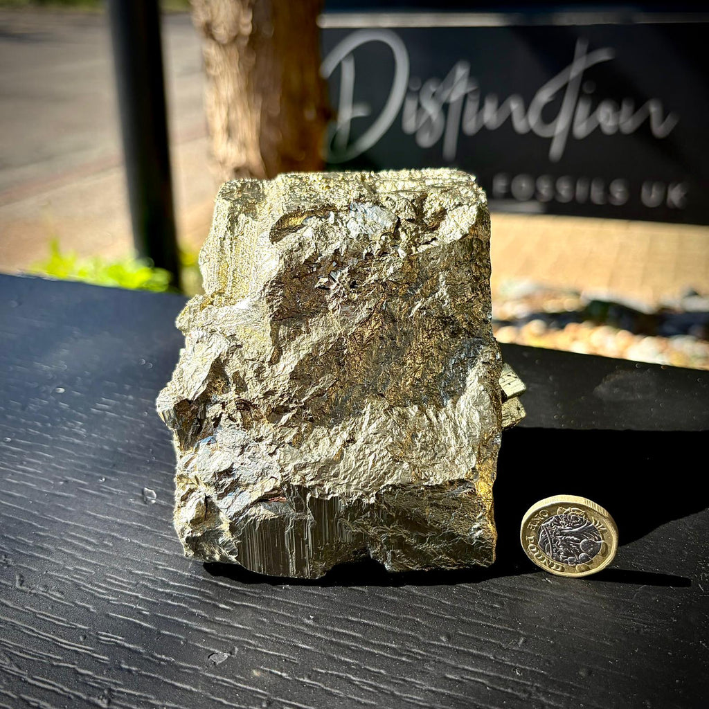Pyrite Crystal Specimen | Fool's Gold Mineral