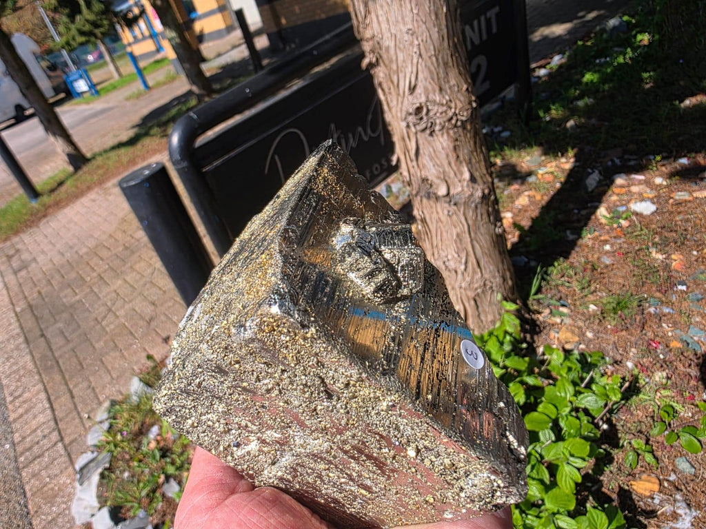 Pyrite Crystal Specimen | Fool's Gold Mineral