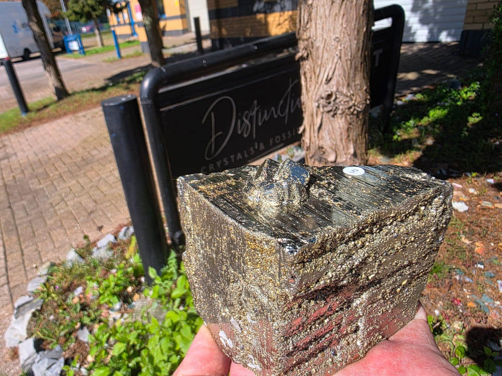 Pyrite Crystal Specimen | Fool's Gold Mineral