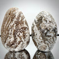 Ocean Jasper Freeform Pair - Matching Crystal Decor