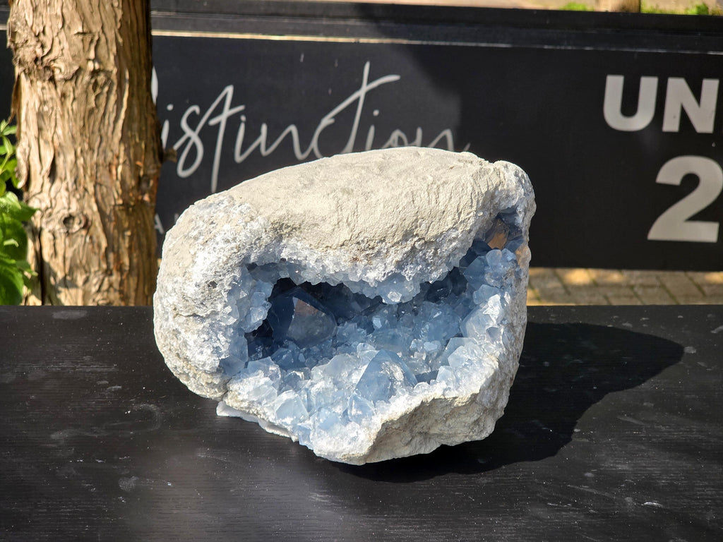 Extra Large Celestite Crystal Cave 12.25KG