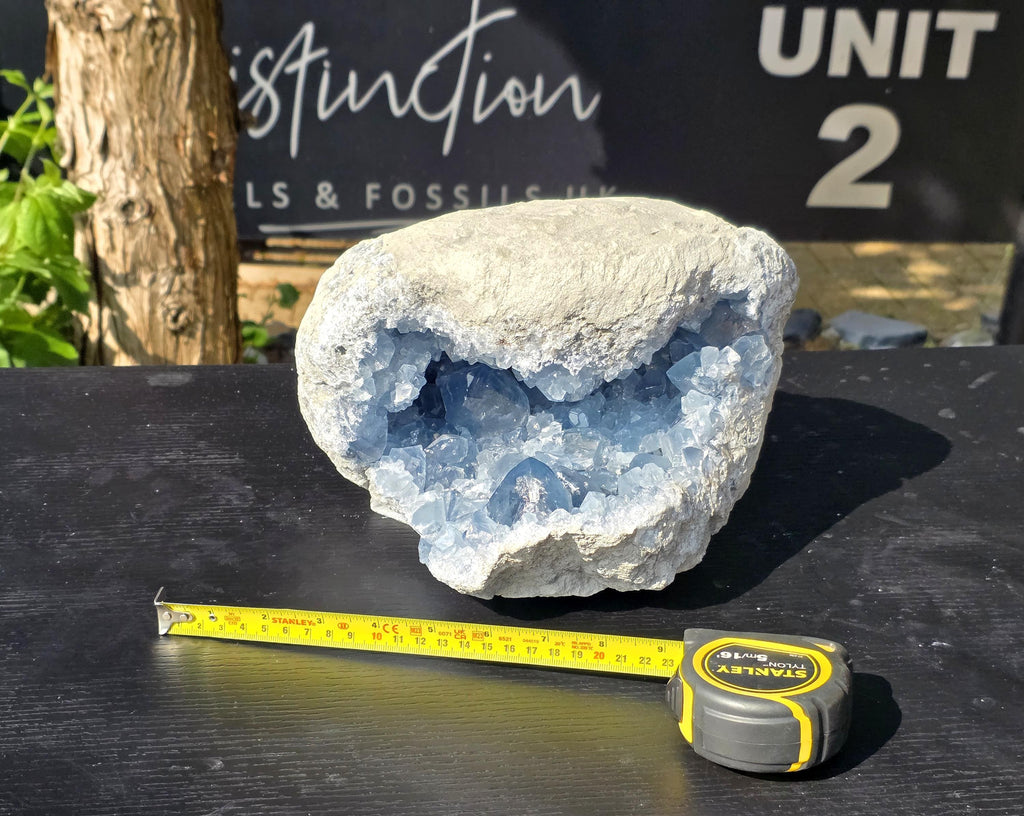 Extra Large Celestite Crystal Cave 12.25KG
