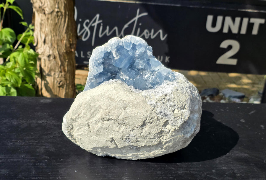 Extra Large Celestite Crystal Cave 12.25KG