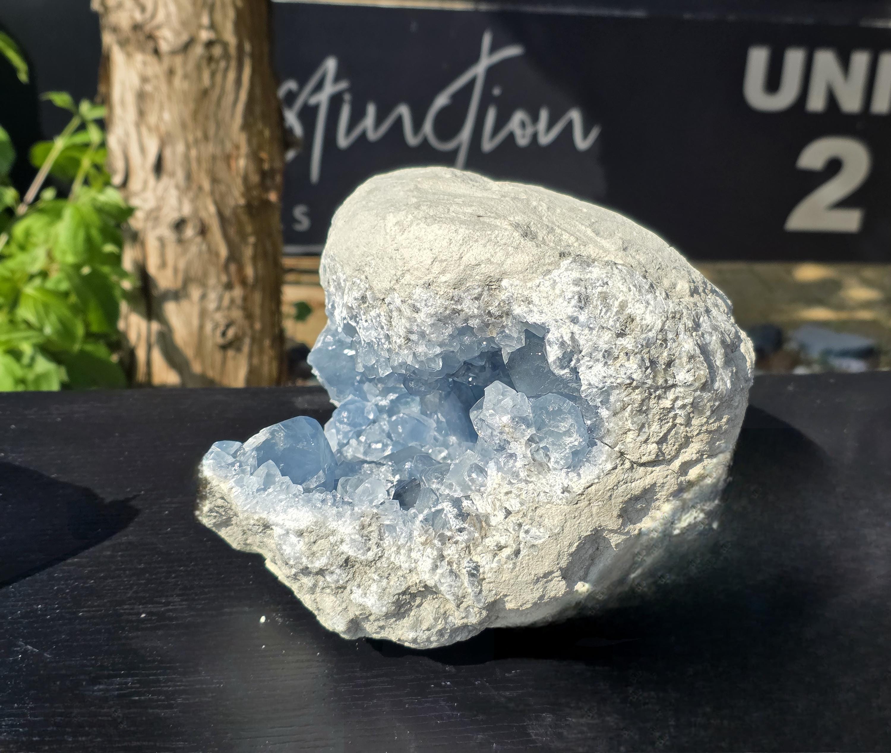 Extra Large Celestite Crystal Cave 12.25KG