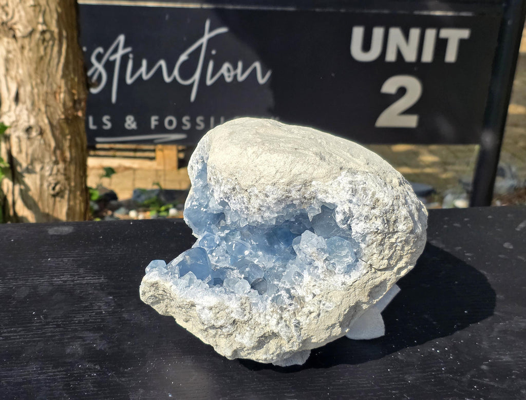 Extra Large Celestite Crystal Cave 12.25KG